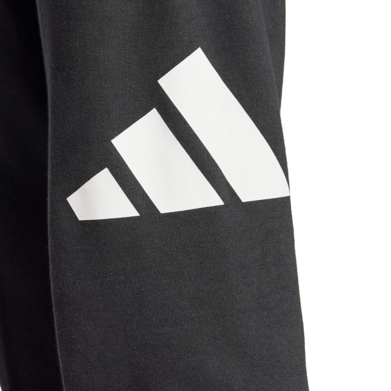 Adidas Essentials Big Logo French Terry M IN6163 pants Clothing/Lifestyle/Trousers, shorts Adidas