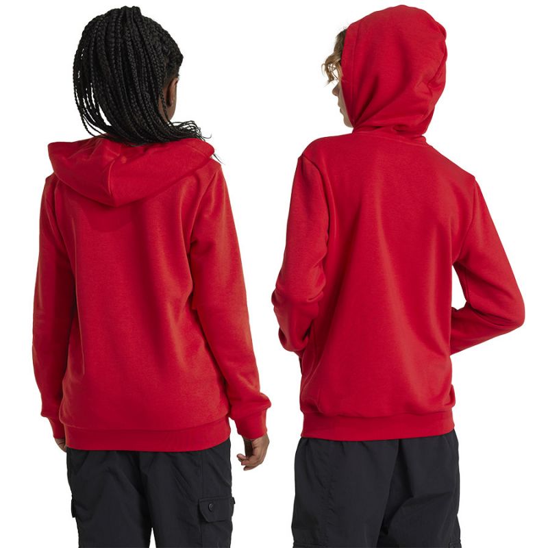 Adidas Arsenal London Jr IT4091 sweatshirt Clothing/Football Adidas