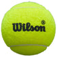 Wilson Premier Padel Speed 3 Ball Set WR8908501001 Accessories/Balls/Tennis Your Sports Performance
