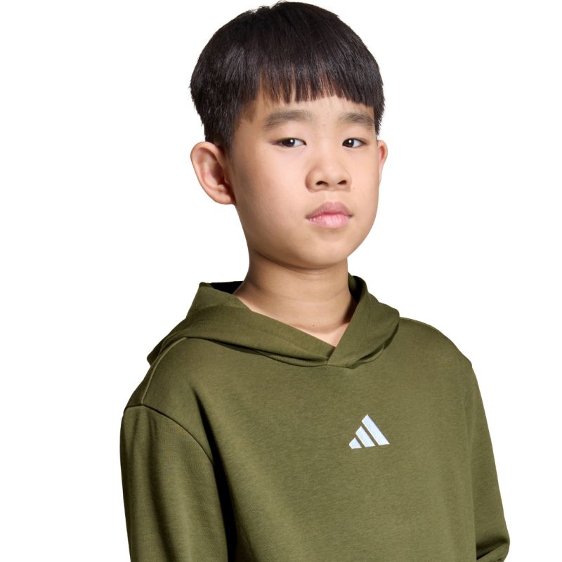 adidas Essentials Hoodie 225 olive KS0367 To be categorized Your Sports Performance