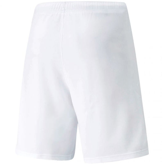 Puma teamRISE Short M 704942 03 Clothing/Running Puma