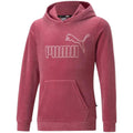 Sweatshirt Puma Ess + Velor Hoodie G Jr 671040 45 Clothing/Lifestyle/Puma Puma