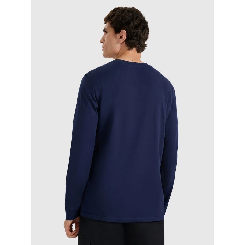 Men's longsleeve regular with print 4F 4FRAW25TLONM606-31S