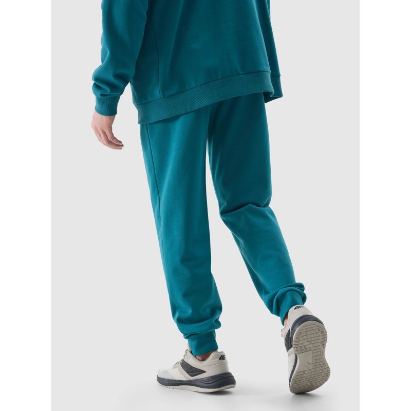 Pants 4F M 4FWSS24TTROM603 46S Clothing/Lifestyle/Trousers, shorts/4F 4F