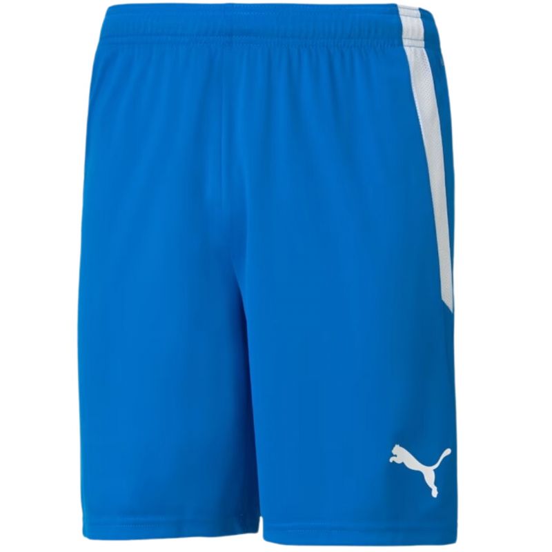 Puma team shortsLIGA M 704924 02 Clothing/Football Puma