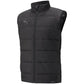 Puma teamLiga Vest M 657968 03 Clothing/Training Puma