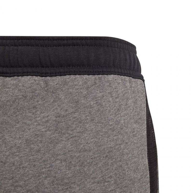 Adidas Tiro 21 Sweat Jr GP8809 pants Clothing/Training Adidas