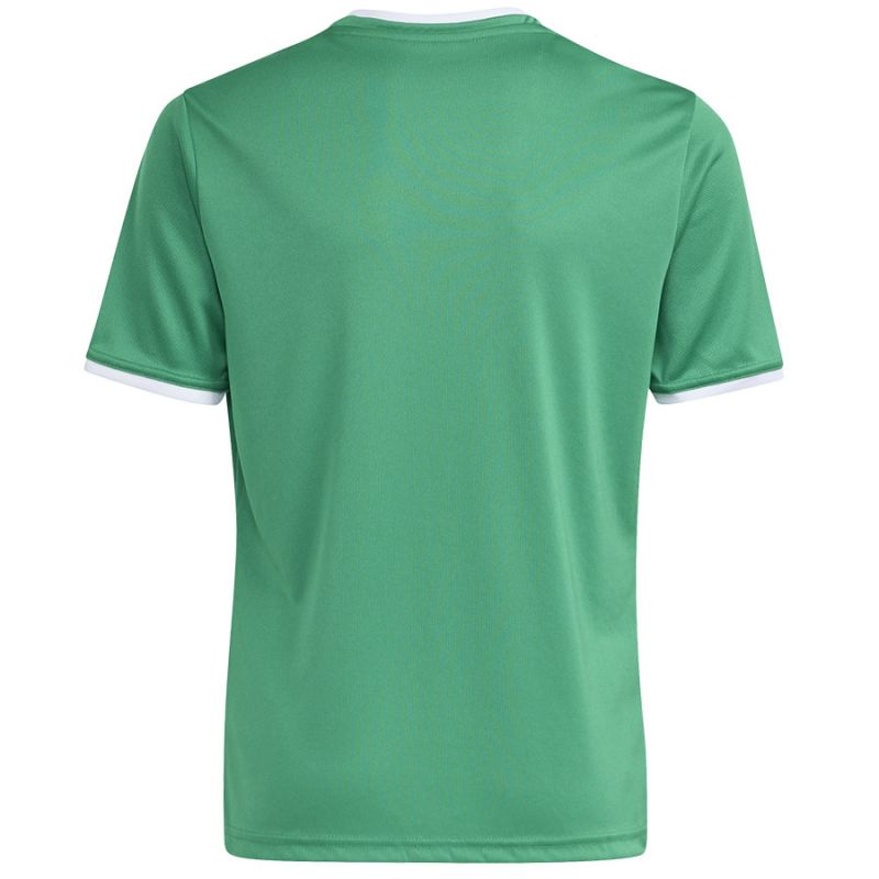 adidas Entrada 26 Jersey green JZ2528 kids' t-shirt To be categorized Your Sports Performance
