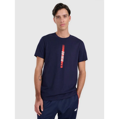 Men's regular printed T-shirt 4F 4FRAW25TTSHM3225-31S 4f