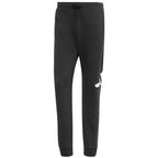 Adidas Essentials Big Logo French Terry M IN6163 pants Clothing/Lifestyle/Trousers, shorts Adidas