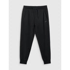 Men's jogger sweatpants 4F 4FWMM00TTROM1676-20S