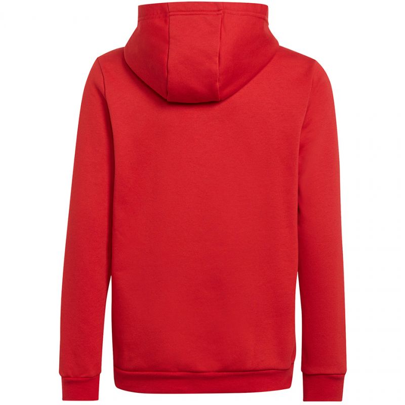 Sweatshirt adidas Entrada 22 Hoody Jr H57566 Clothing/Training Adidas