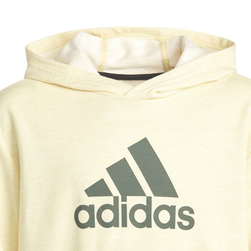 Adidas Badge of Sport Hoodie Jr HN8469 Clothing/Lifestyle Adidas