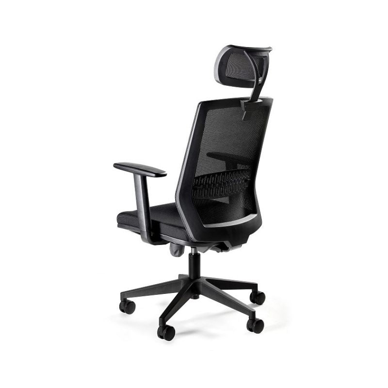 Ergonomic ESTA office chair, black Fotele/Fotele biurowe Your Sports Performance