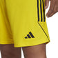 Shorts adidas Tiro 23 League M IB8085 Clothing/Football Adidas