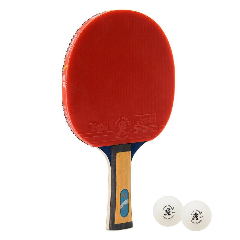 Giant Dragon 4★ N8042 Table Tennis Racket Accessories/Rackets and accessories Your Sports Performance