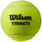 Wilson Triniti 3 Pack Tennis Ball WRT125200 Accessories/Balls/Tennis Your Sports Performance