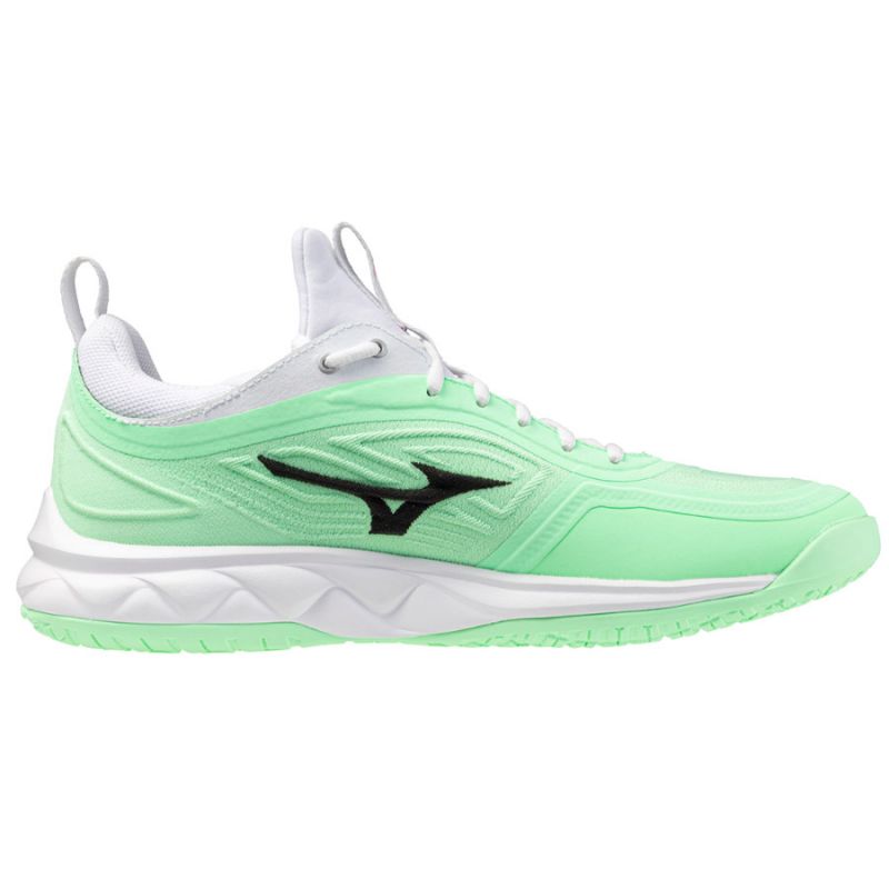 Mizuno WAVE LUMINOUS 3 V1GA242086 shoes Footwear/Volleyball/Men Mizuno