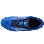 Mizuno CYCLONE SPEED 4 M V1GA238001 shoes Footwear/Volleyball/Men Mizuno