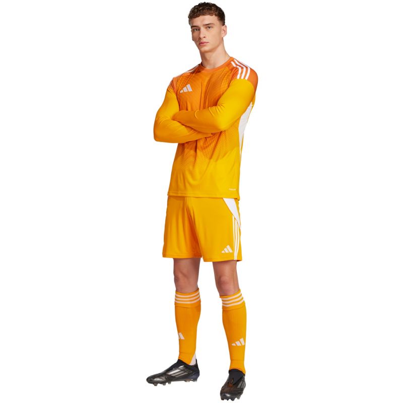 Shorts adidas Tiro 24 M JN4497 Clothing/Football Adidas