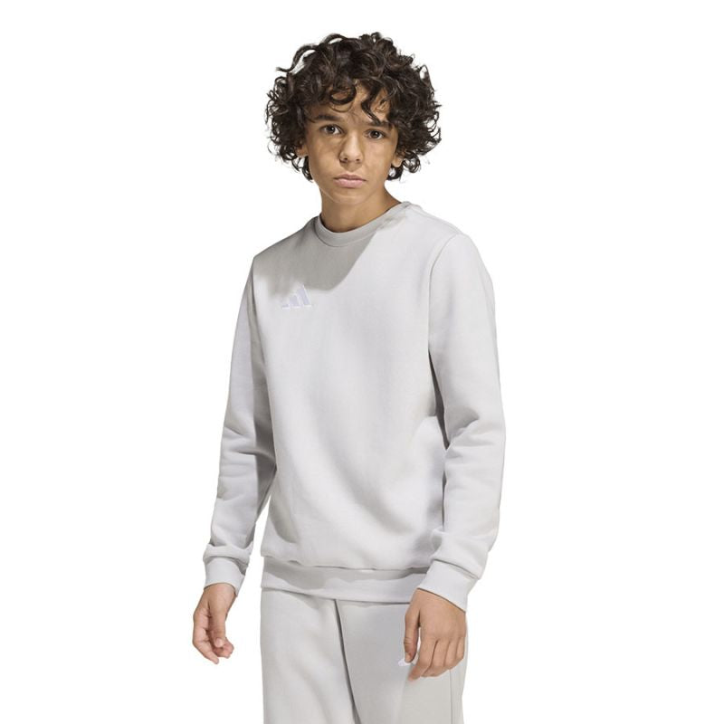 adidas Entrada 26 Sweat Top for kids gray JZ6551 To be categorized Your Sports Performance