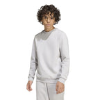 adidas Entrada 26 Sweat Top for kids gray JZ6551 To be categorized Your Sports Performance