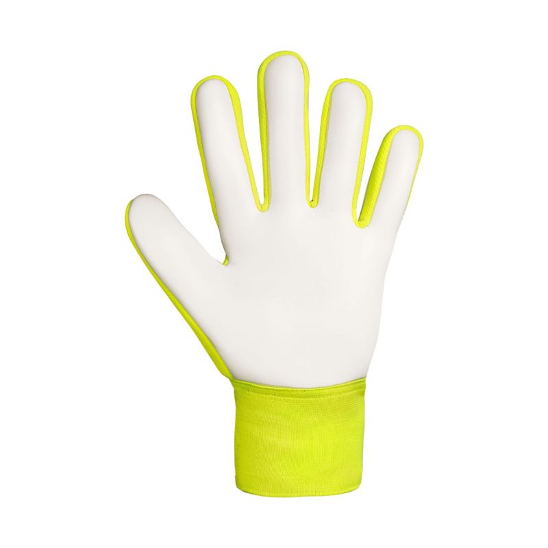 Goalkeeper gloves Reusch Attrakt Starter Solid M 5570514 2014 Accessories/Gloves Your Sports Performance