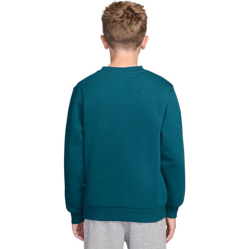 Nike Sportswear Club Fleece Kids' Sweatshirt Green FD3006 372