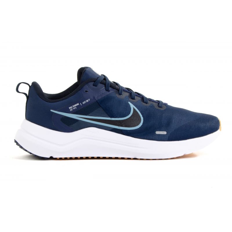 Nike Downshifter 12 M DD9293-400 shoe Footwear/Lifestyle/Nike Nike