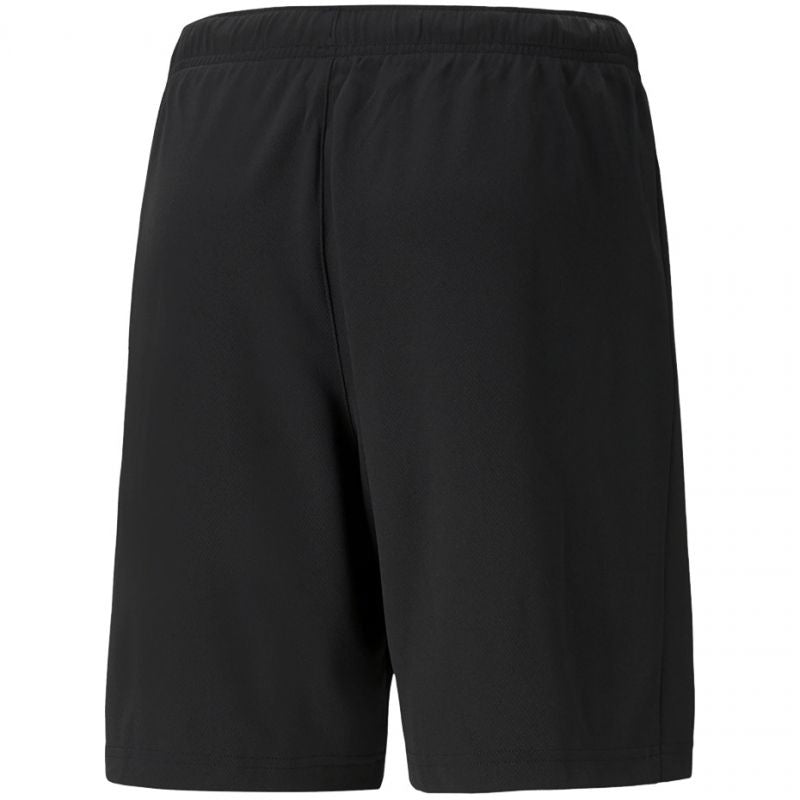 Puma teamRISE Short M 704942 04 Clothing/Running Puma