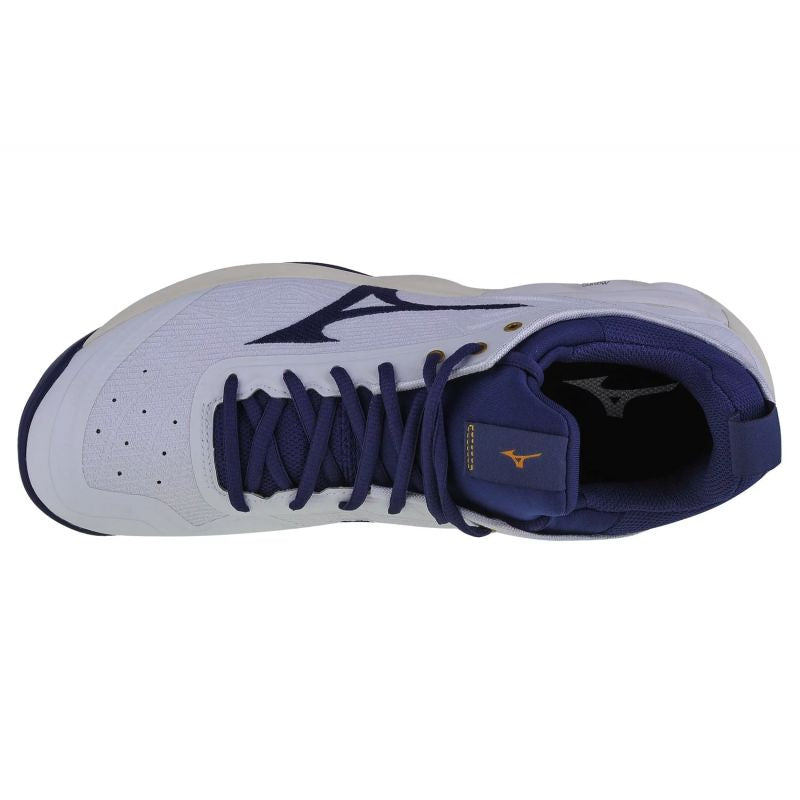 Mizuno Wave Luminous 2 M V1GA212043 volleyball shoes Footwear/Volleyball/Men Mizuno