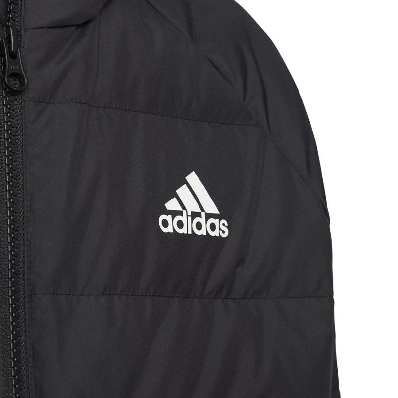Jacket adidas Frosty Winter Jackett Jr H45034 Clothing/Lifestyle Adidas