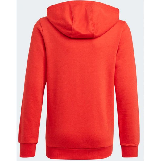 Adidas Essentials Big Logo Hoodie Jr GN4037 Clothing/Lifestyle Adidas