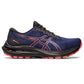 Asics GT 2000 11 GTX W 1012B304003 shoes Footwear/Running/Women Asics