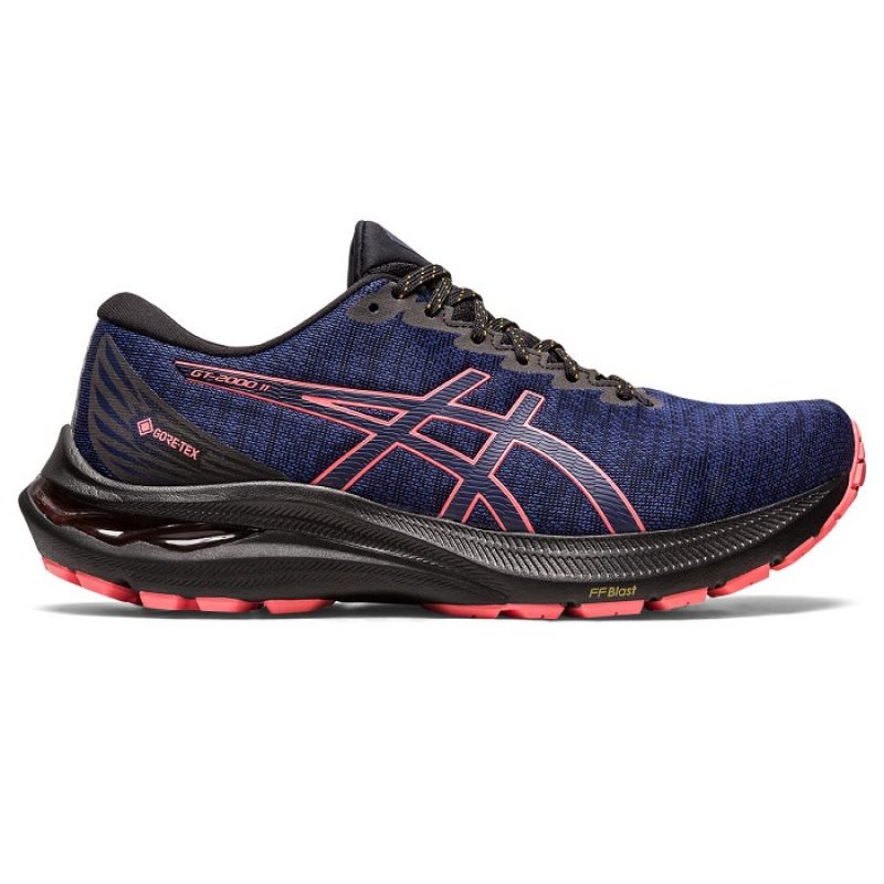 Asics GT 2000 11 GTX W 1012B304003 shoes Footwear/Running/Women Asics