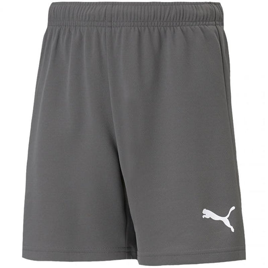 Puma teamRise Short Jr 704943 13 Clothing/Training Puma
