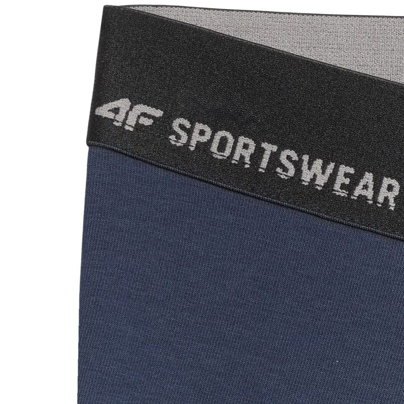 Men's boxer shorts 4F M080 2-pack multicolor 4FWMM00UBXSM080 90S