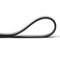 Resistance band adidas 4.45 cm ADTB-10607BK Accessories/Training equipment Adidas