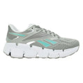 Reebok ZIG DYNAMICA 6 women's sneakers (100263922)