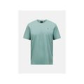 PEAK PERFORMANCE M Explore Graphic Tee, green