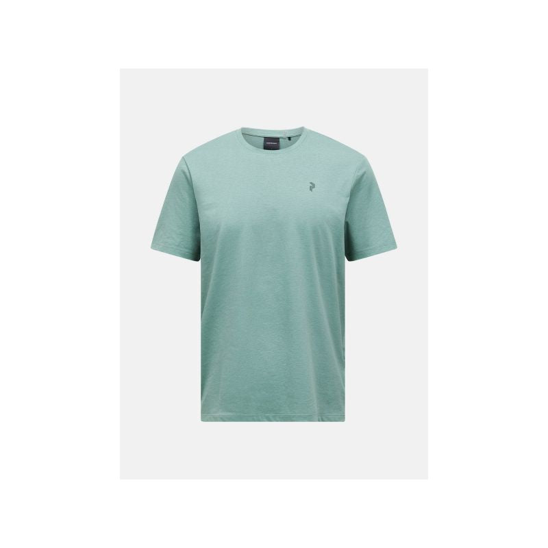 PEAK PERFORMANCE M Explore Graphic Tee, green