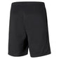 Puma teamRISE M 657336 03 shorts Clothing/Training Puma
