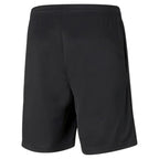 Puma teamRISE M 657336 03 shorts Clothing/Training Puma