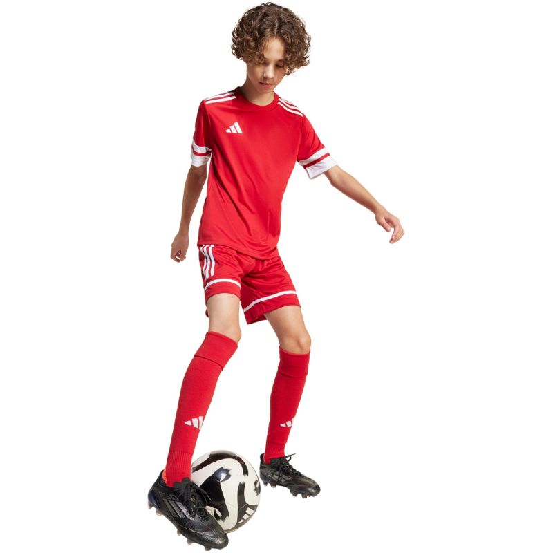 Shorts adidas Squadra 25 Jr JN5456 Clothing/Football Adidas
