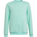 Adidas Entrada 22 Sweat Top Jr HC5042 sweatshirt Clothing/Football Adidas