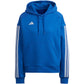 Sweatshirt adidas Tiro 23 Competition Cotton Hoodie W IC4617 Clothing/Training Adidas
