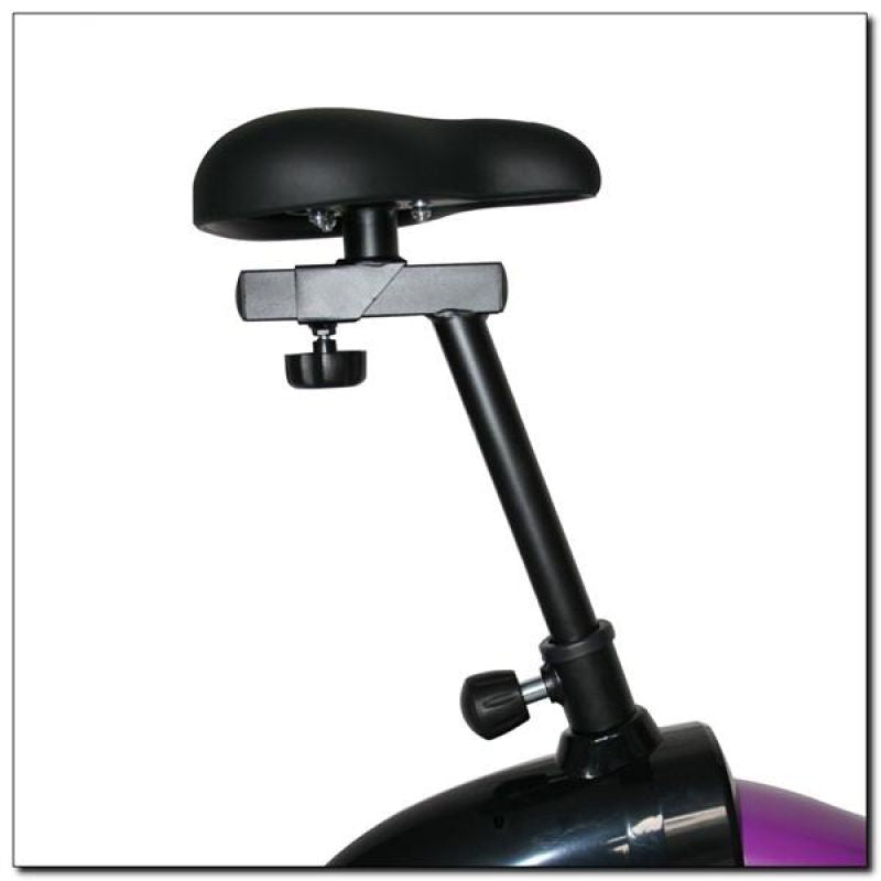 Magnetic bike purple HMS M9239V Accessories/Training equipment/Rowery, orbitreki Your Sports Performance