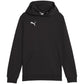 Puma Team Goal Casuals Hoddy Jr sweatshirt 658619 03 Clothing/Training Puma