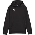 Puma Team Goal Casuals Hoddy Jr sweatshirt 658619 03 Clothing/Training Puma