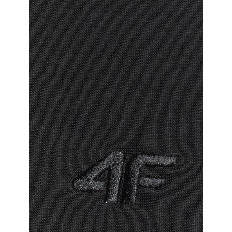 Men's regular hooded sweatshirt 4F 4FRSS26TSWSM2793-20S 4f